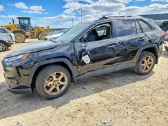 2T3RWRFV2RW201078 2024 TOYOTA RAV 4