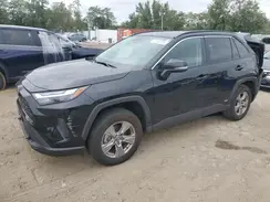 2T3RWRFV2RW209777 2024 TOYOTA RAV 4