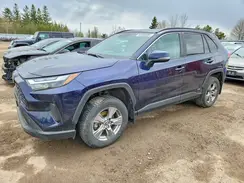 2T3RWRFV2RW212128 2024 TOYOTA RAV 4