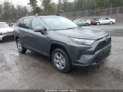 2T3RWRFV2RW223890 2024 TOYOTA RAV 4