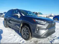 2T3RWRFV2RW237367 2024 TOYOTA RAV 4