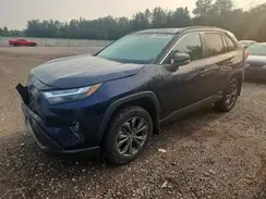 2T3RWRFV2SW282296 2025 TOYOTA RAV 4