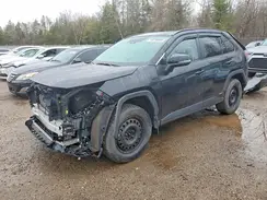 2T3RWRFV2SW284016 2025 TOYOTA RAV 4