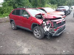 2T3RWRFV3KW036146 2019 TOYOTA RAV 4