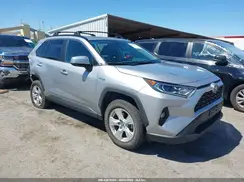 2T3RWRFV3KW036504 2019 TOYOTA RAV 4