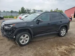 2T3RWRFV3LW078415 2020 TOYOTA RAV 4