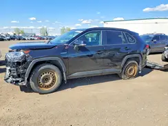 2T3RWRFV3LW099216 2020 TOYOTA RAV 4
