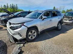 2T3RWRFV3PW166337 2023 TOYOTA RAV 4