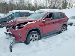 2T3RWRFV3PW166595 2023 TOYOTA RAV 4