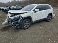 2T3RWRFV3PW185924 2023 TOYOTA RAV 4