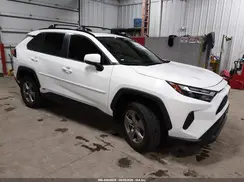 2T3RWRFV3RW196229 2024 TOYOTA RAV 4