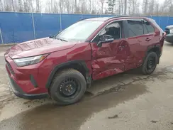 2T3RWRFV3RW197994 2024 TOYOTA RAV 4