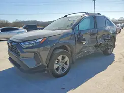 2T3RWRFV3RW205754 2024 TOYOTA RAV 4