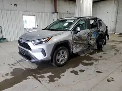 2T3RWRFV3RW210128 2024 TOYOTA RAV 4