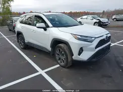2T3RWRFV3RW225972 2024 TOYOTA RAV 4