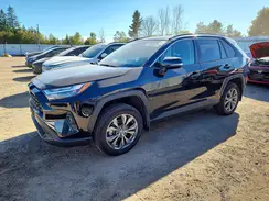 2T3RWRFV3RW227625 2024 TOYOTA RAV 4