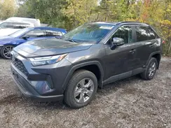 2T3RWRFV3RW234588 2024 TOYOTA RAV 4