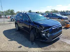 2T3RWRFV3RW237698 2024 TOYOTA RAV 4