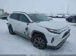 2T3RWRFV3RW248703 2024 TOYOTA RAV 4