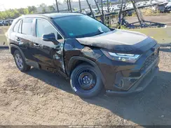 2T3RWRFV3SW255267 2025 TOYOTA RAV 4