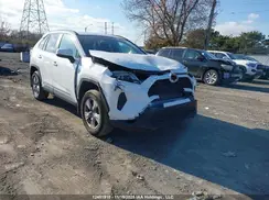 2T3RWRFV3SW260646 2025 TOYOTA RAV 4
