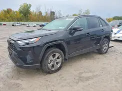 2T3RWRFV3SW265670 2025 TOYOTA RAV 4