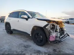 2T3RWRFV3SW274806 2025 TOYOTA RAV 4