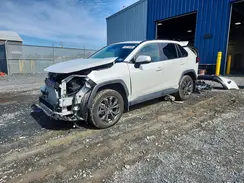 2T3RWRFV3SW294585 2025 TOYOTA RAV 4