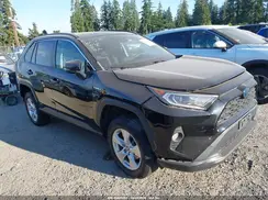 2T3RWRFV4KW010607 2019 TOYOTA RAV 4