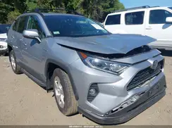2T3RWRFV4KW031487 2019 TOYOTA RAV 4