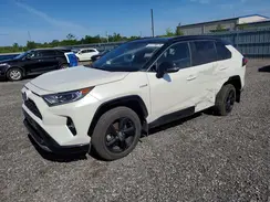 2T3RWRFV4KW034258 2019 TOYOTA RAV 4