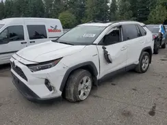 2T3RWRFV4KW037435 2019 TOYOTA RAV 4