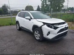 2T3RWRFV4KW045924 2019 TOYOTA RAV 4