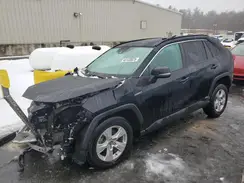 2T3RWRFV4LW060795 2020 TOYOTA RAV 4