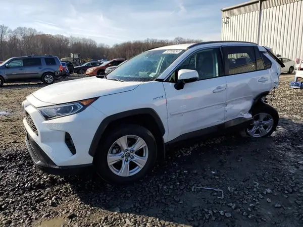 2T3RWRFV4LW064927 2020 TOYOTA RAV 4 - Image 1