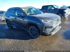 2T3RWRFV4LW088726 2020 TOYOTA RAV 4