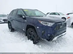 2T3RWRFV4LW098141 2020 TOYOTA RAV 4