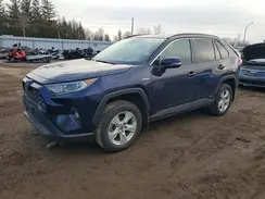 2T3RWRFV4MW115487 2021 TOYOTA RAV 4