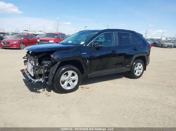 2T3RWRFV4MW117160 2021 TOYOTA RAV 4 - Image 2