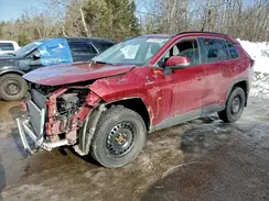 2T3RWRFV4MW118955 2021 TOYOTA RAV 4