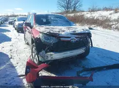 2T3RWRFV4MW122035 2021 TOYOTA RAV 4