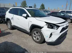 2T3RWRFV4MW128658 2021 TOYOTA RAV 4