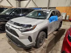 2T3RWRFV4NW134185 2022 TOYOTA RAV 4