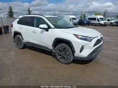 2T3RWRFV4PW160658 2023 TOYOTA RAV 4