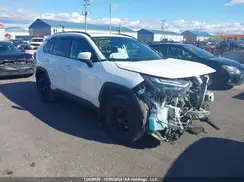 2T3RWRFV4PW164077 2023 TOYOTA RAV 4