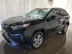 2T3RWRFV4PW174799 2023 TOYOTA RAV 4