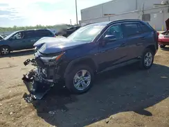 2T3RWRFV4RW203365 2024 TOYOTA RAV 4
