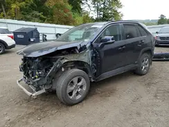 2T3RWRFV4RW215841 2024 TOYOTA RAV 4