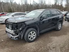 2T3RWRFV4RW219498 2024 TOYOTA RAV 4