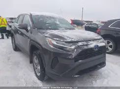 2T3RWRFV4RW235538 2024 TOYOTA RAV 4